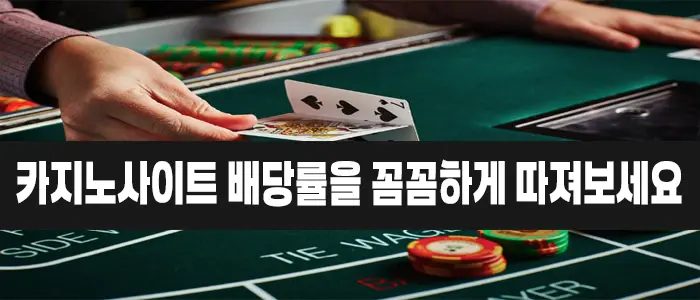 카지노사이트 배당률을 꼼꼼하게 따져보세요