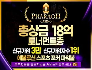 파라오슬롯은 보안이 튼튼한 바카라사이트입니다